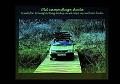 7. Camouflage car